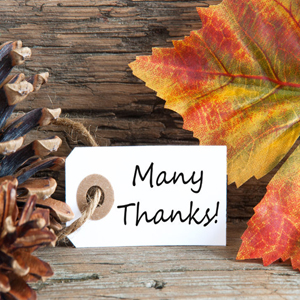 Mapcom Systems is Thankful