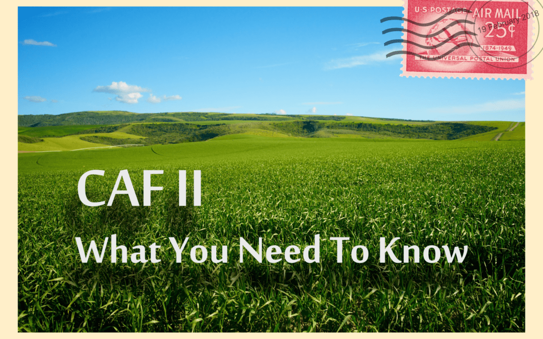 CAF II – What You Need To Know